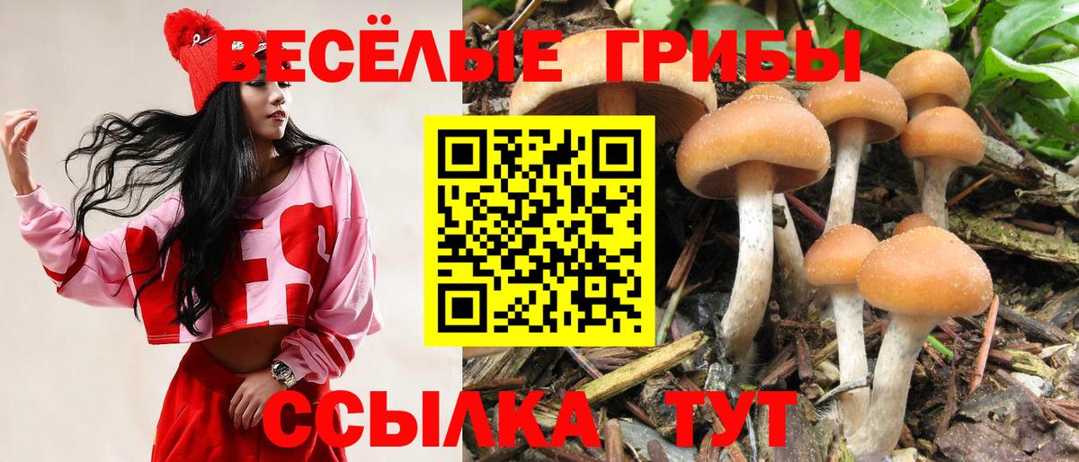 Галлюциногенные грибы Magic Shrooms Хасавюрт