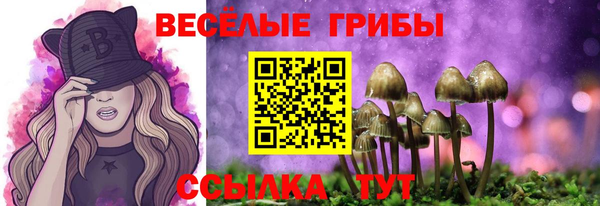 Хасавюрт  Псилоцибиновые грибы MAGIC MUSHROOMS  Вход с VPN 
